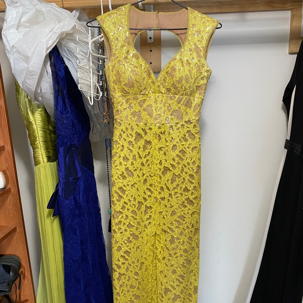 BCBG wedding / prom dress size 0Petite